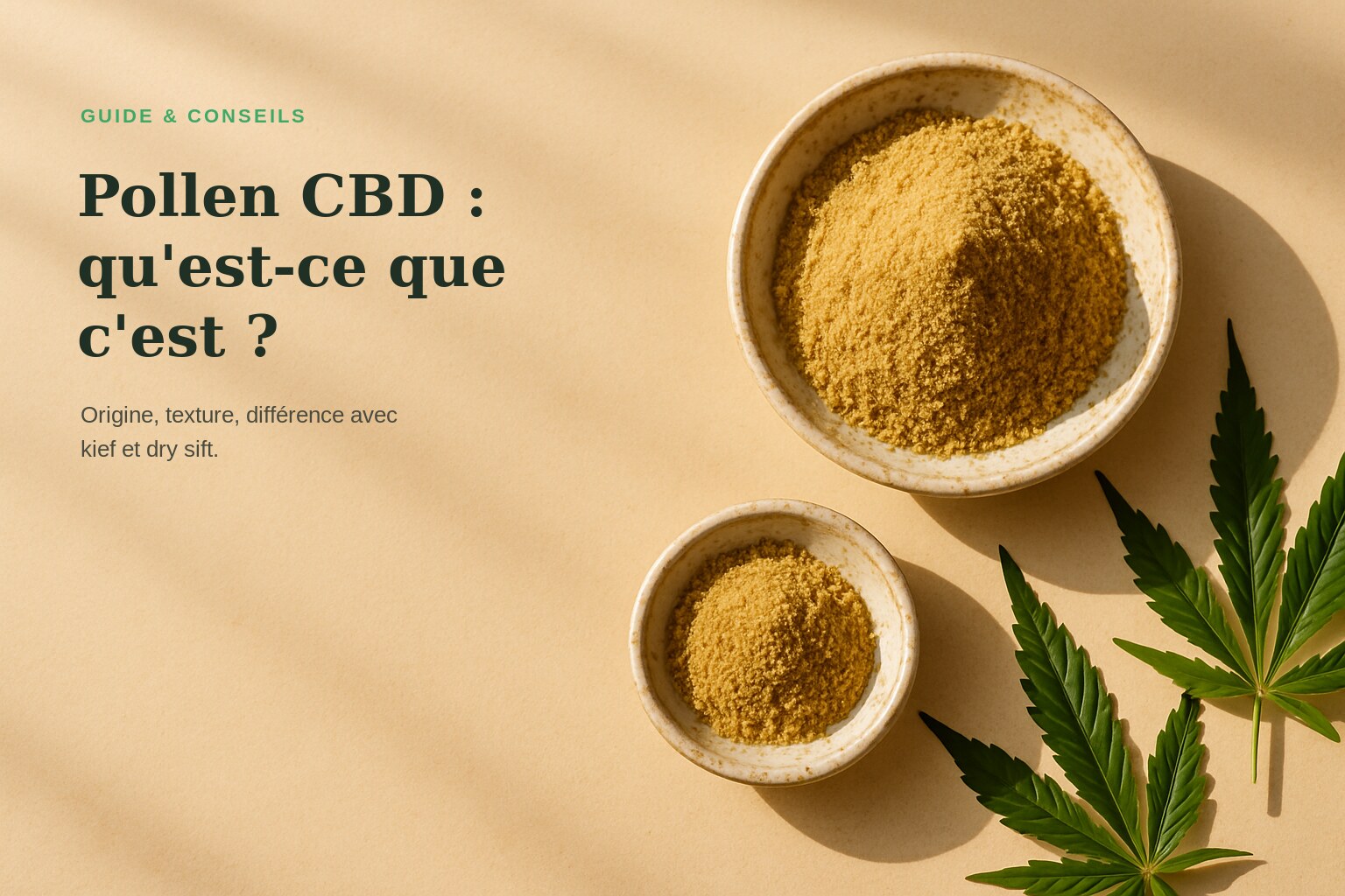 Pollen CBD : qu'est-ce que c'est ? · Maison Résine