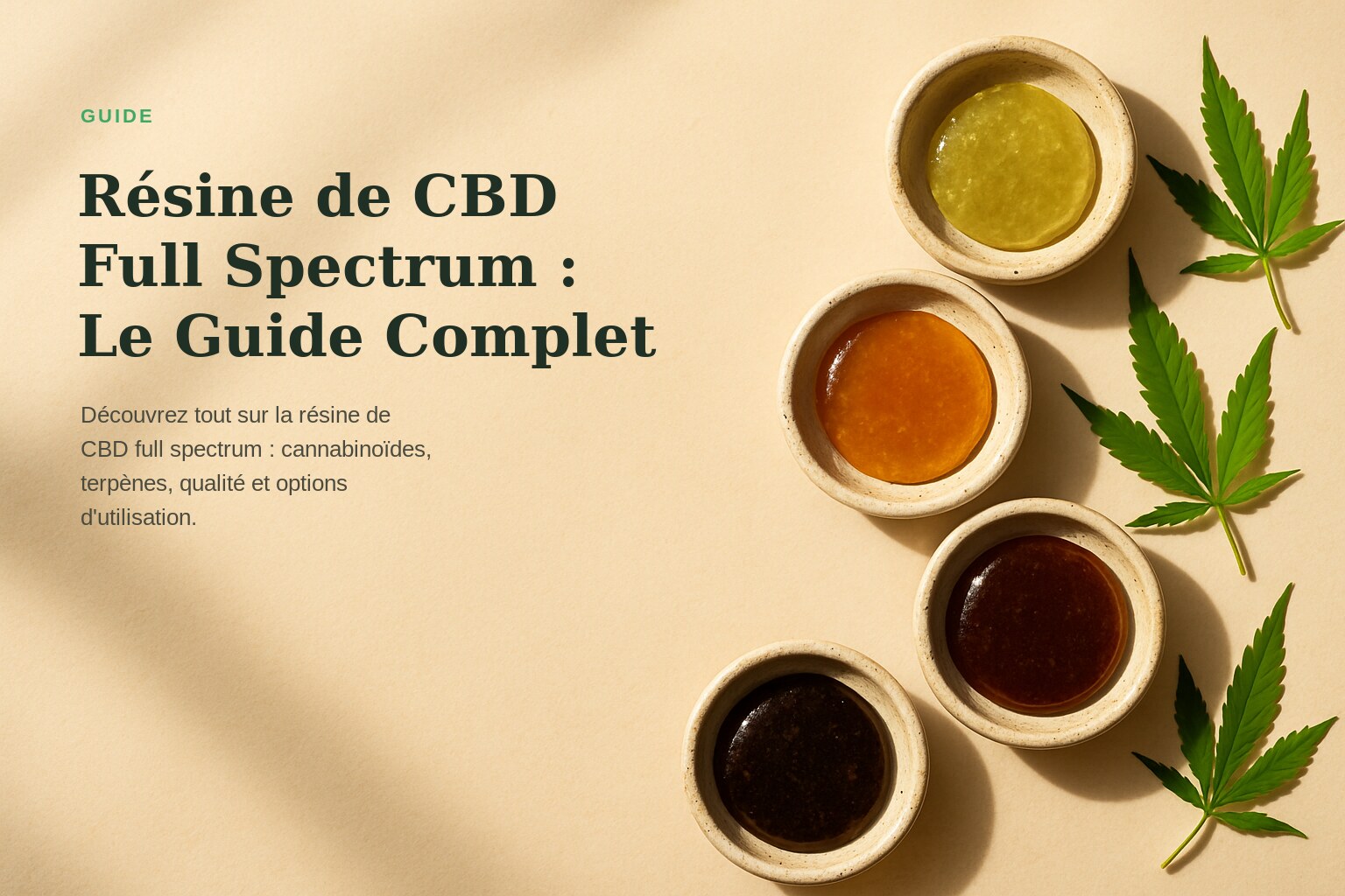 Résine de CBD Full Spectrum : Le Guide Complet · Maison Résine