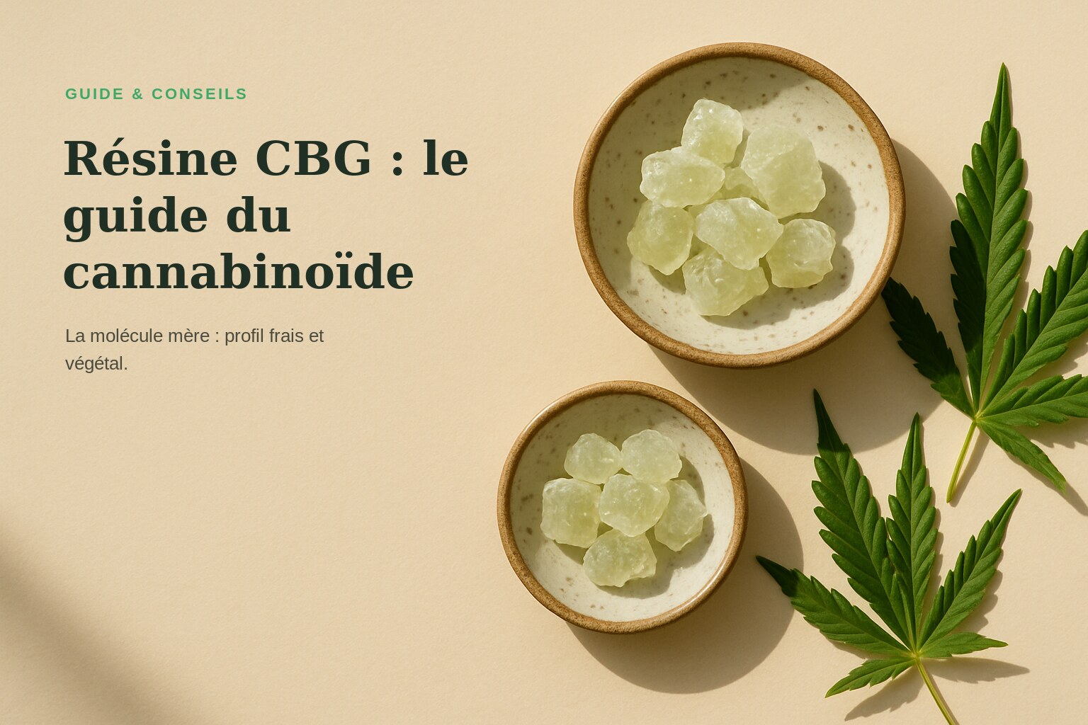 Résine CBG : le guide du cannabinoïde · Maison Résine