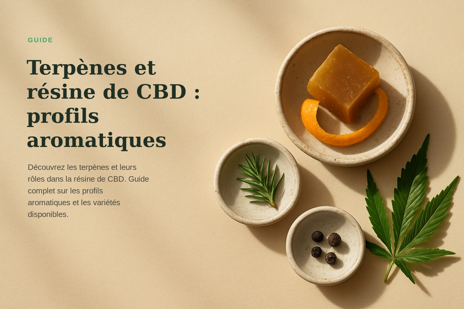 Terpènes et résine de CBD : profils aromatiques · Maison Résine